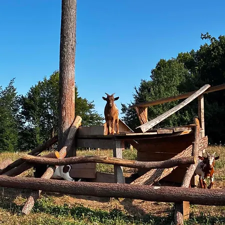 Ranc Na Hribu * Trebnje