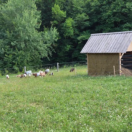 Ranc Na Hribu Hébergement de vacances Trebnje