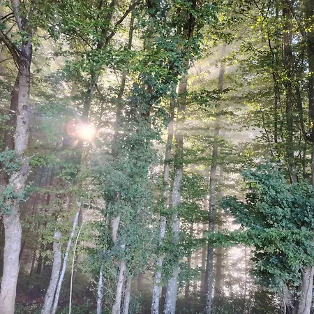 Ranc Na Hribu Hébergement de vacances Trebnje
